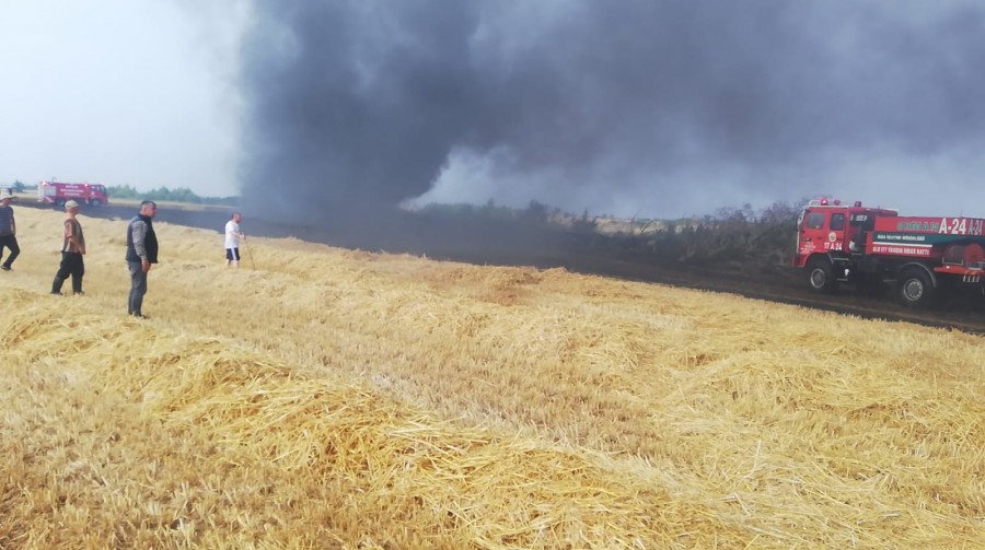 Çanakkale’nin Biga ilçesinde buğday ekili arazide yangın çıktı