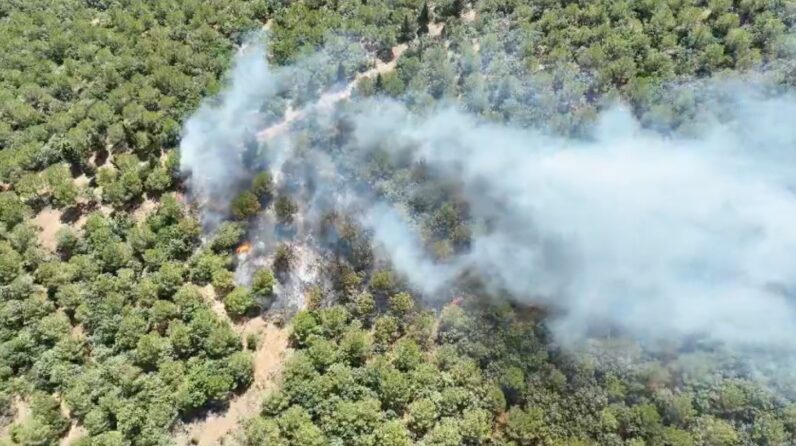 Çanakkale’nin Bayramiç İlçesinde Orman Yangını Kontrol Altına Alındı
