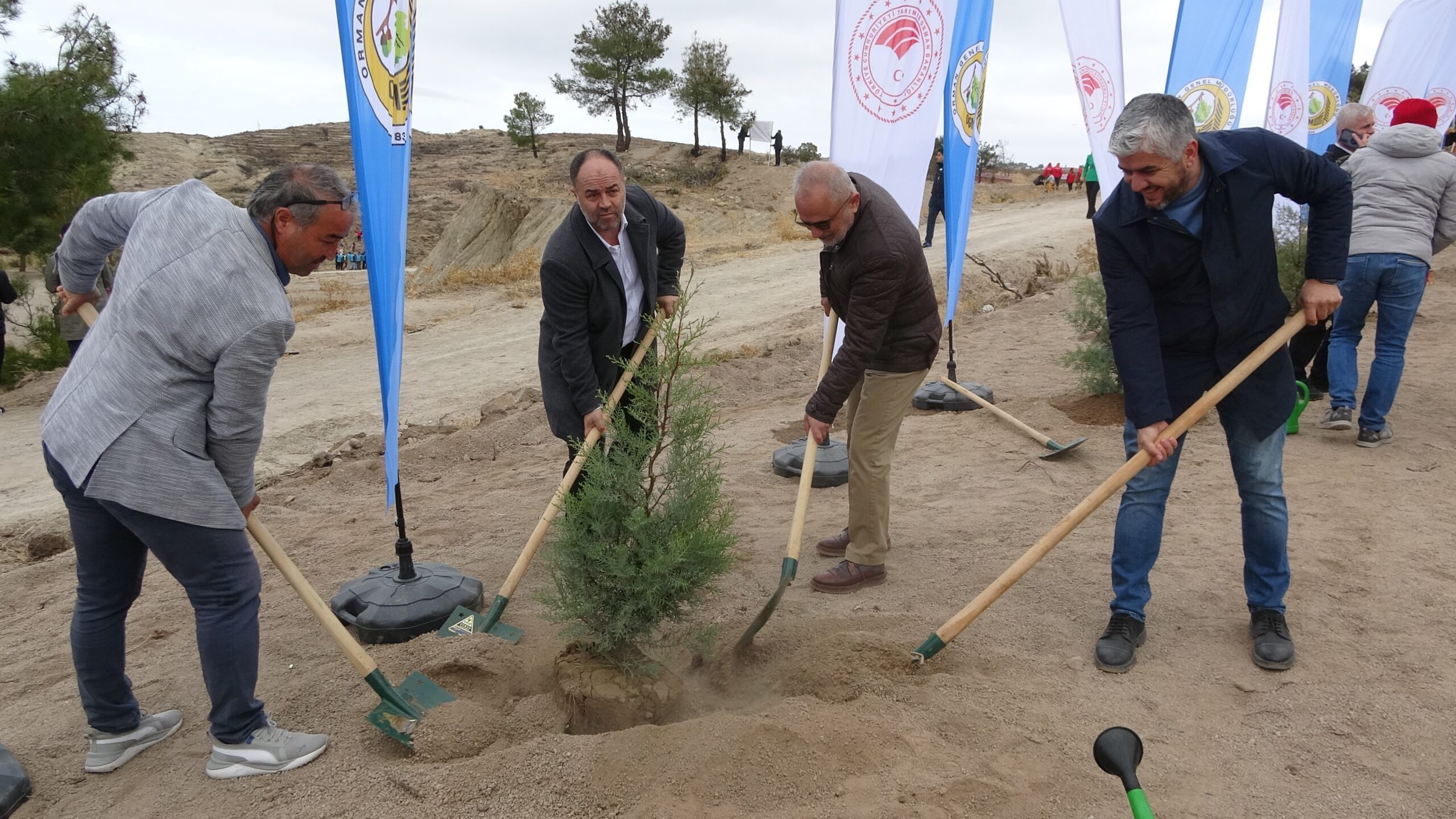 11 Kasım Milli Ağaçlandırma Günü’nde Çanakkale’de 34 Bin 500 Fidan Dikildi