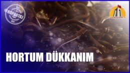 HORTUM DÜKKANIM