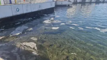 Çanakkale Boğazı’nda Müsilaj Endişesi Yeniden Ortaya Çıktı