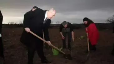 Eceabat’ta Yangın Zararı İçin 5 Bin Zeytin Fidanı Dağıtıldı