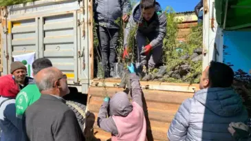Çanakkale’de Orman Haftası Etkinliği: 3 Bin Fidan Dağıtıldı