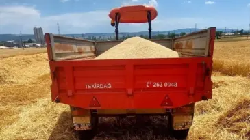 Evreşe’de 2025 İlk Arpa Hasadı Yapıldı