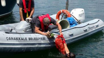 Çanakkale’de Çevre Günü Temizliği